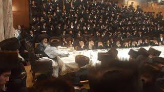 Apple Tish With Sanz - Klausenberger Rebbe - 20175778