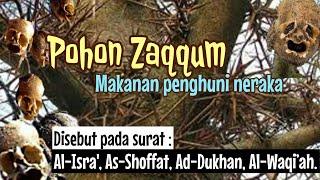 Pohon Zaqqum makanan penghuni neraka disebut di surat Al-Isro’ As-Shoffat Ad-Dukhan Al-Waqi’ah.