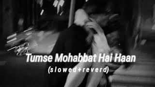 Tumse Mohabbat Hai Haan slowed +reverd-JalRaj। Safar।