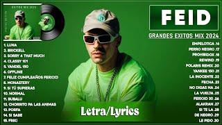 Feid 2024 LetraLyrics - Grandes Éxitos De Feid - Mejores Canciones De Feid - Mix Reggaeton 2024