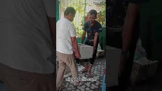 Pengiriman material penangkal petir box control ke gresik jawa timur.