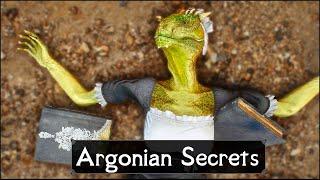 Skyrim 5 Things They Never Told You About Argonians