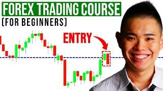 The Ultimate Forex Trading Course For Beginners