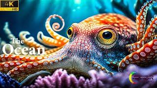 The Colors of the Ocean 4K Octopus Underwater Wonders + Relaxing Music  4K Relaxation Video