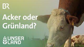 Wo Gras wächst Acker oder Grünland?  Unser Land  BR Fernsehen