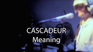 Cascadeur - Meaning Karaoke