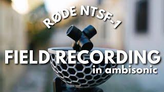 Field Recording In Spain With Rode NT-SF1 & ZOOM F6 in Ambisonic Sounds