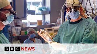 ‘Space hairdryer’ regenerates heart tissue in study  BBC News