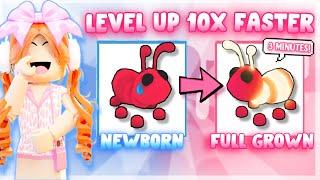  BEST TIPS TO LEVEL UP PETS 10X FASTER 2024