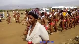 Swaziland virgin girls entertaining king Mswati III