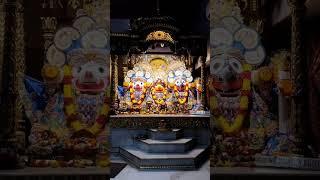 Hare Krishna Dhun   हरे कृष्णा अदभुत धुन  ISKCON kirtan  Hare Krishna Kirtan  Vrindavan