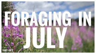 Foraging in July Part 1 of 2 - UK Wildcrafts Foraging Calendar