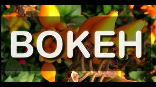 BOKEH FULL HD  BY USING CANON EOS M3