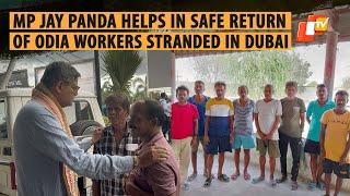 Eight Odia Workers Stranded In Dubai Return Home After MP Baijayant Pandas Intervention  Odisha