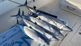 Light Tackle Mackerel Fishing  Non-Stop Action - CCC