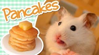  Pancakes  HAMSTER KITCHEN 