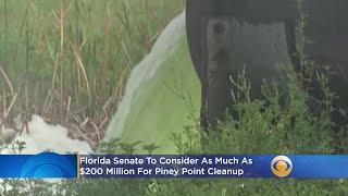 Florida Senate To Consider As Much As $200 Million For Piney Point Cleanup