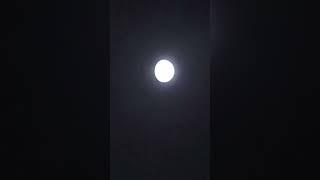 La luna me está mirando #luna #lunar