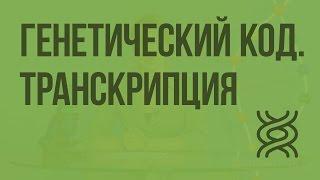 Генетический код. Транскрипция. Видеоурок по биологии 10 класс