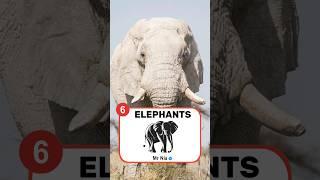 Top 10 intelligent  Animals #shorts #youtubeshorts #shortvideo @SubhankarShortz  #top10 #viral