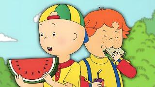 Caillou Has a Picnic  Caillou - WildBrain