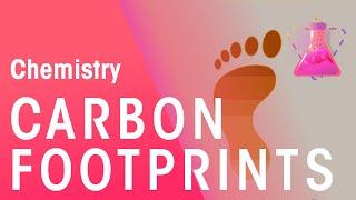 What Are Carbon Footprints  Environmental Chemistry  Chemistry  FuseSchool