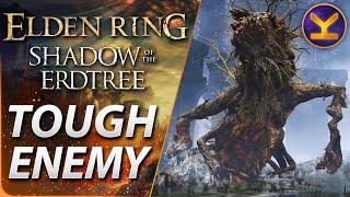 Elden Ring DLC - Tough Enemy - x2 Ulcerated Tree Spirit - Shadow Keep Church District