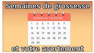 Les semaines de grossesse gestation et vos options davortement  Ami explique lavortement