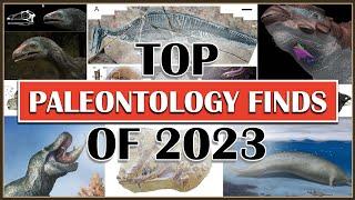 Top Paleontology Finds of 2023