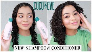 NEW COCO & EVE SHAMPOO & CONDITIONER ON CURLY HAIR - HONEST REVIEW