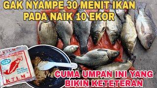 SIKAT HABIS ‼️ TAK TERSISA IKAN NILA HEMBAT IKAN MAS APALAGI UMPAN MANA LAGI YANG KAU DUSTA KAN