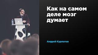 Как на самом деле мозг думает  Андрей Курпатов  Prosmotr