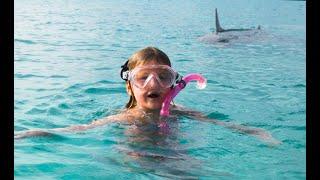 Shark Attack Bahamas Girl thinks shark is a dolphin