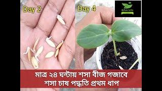 শসা বীজ থেকে চারা তৈরি ও শসা চাষ পদ্ধতি