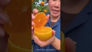 Farm Fresh Ninja Fruit Cutting  Oddly Satisfying Fruit Ninja part #3