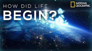 National Geographic - How Life Began  Science Documentary