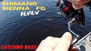 Shimano Sienna FG Review