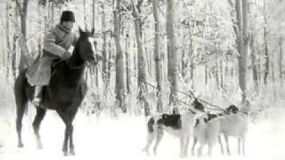 Охота на волка в России 1910  Wolf hunting in Russia Eng subs