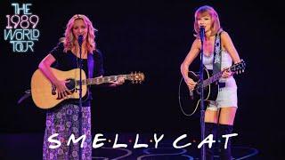 Taylor Swift & Lisa Kudrow - Smelly Cat Live on The 1989 World Tour