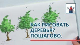 Как рисовать деревья маркерами пошагово? Простыми приемами для начинающих.