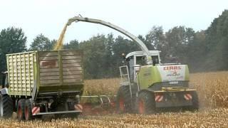 Maisernte 2011 Claas Jaguar 900 erntet in Ostervesede  Scheessel