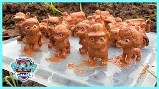 Paw Patrol Mighty Pups Covered in Mud Can You Help Us Clean Them?