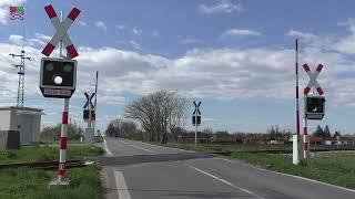 Železničné priecestie Tekovský Hrádok SP0970 - 17.4.2022  Žel. přejezd  Slovak railroad crossing