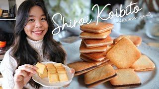 Shiroi Koibito - Japanese White Lover Langue de Chat & White Chocolate Biscuit