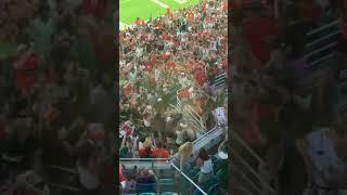Aficionados salvan a gato con bandera en estadio