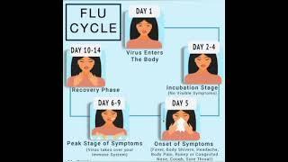 flu sign and symptoms cycle and non medicinal remedies #medicineknowledge