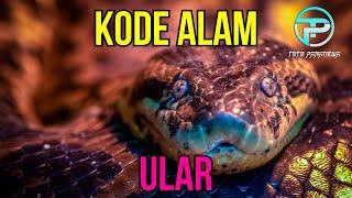 EREK EREK ULAR 2D 3D 4D  KODE ALAM ULAR  TAFSIR MIMPI ULAR