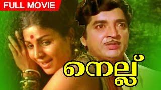 Malayalam Superhit Movie  Nellu  Classic film   Ft.Prem Nazir   Jayabharathi   Others