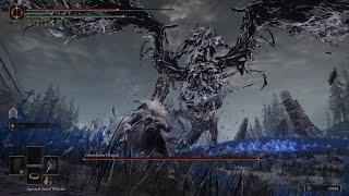 Elden Ring DLC - Ghostflame Dragon Boss Fight