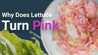 Why Does Lettuce Turn Brown or Pink?